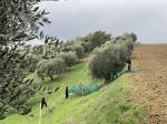Buonaroma AG Buonaroma News Februar 2025